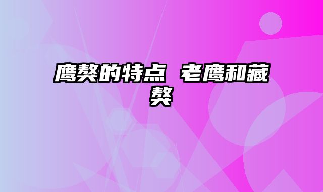 鹰獒的特点 老鹰和藏獒