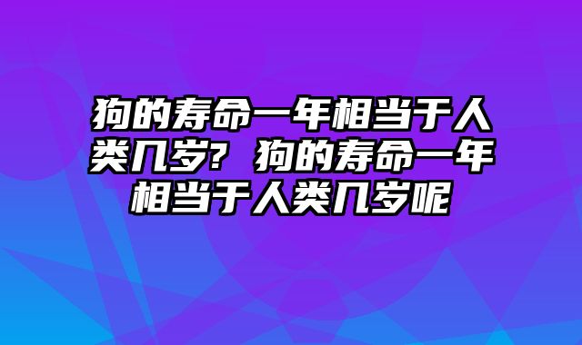 狗的寿命一年相当于人类几岁? 狗的寿命一年相当于人类几岁呢