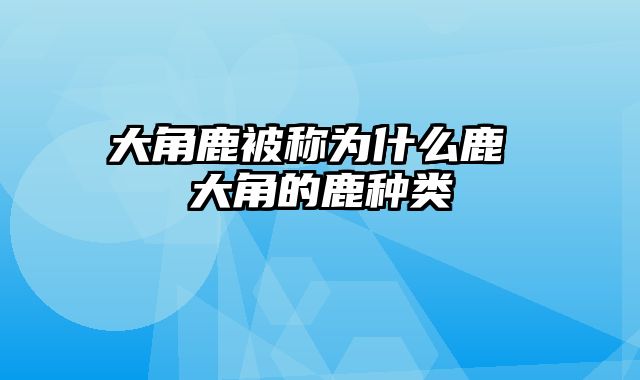 大角鹿被称为什么鹿 大角的鹿种类