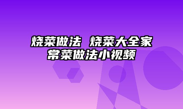 烧菜做法 烧菜大全家常菜做法小视频