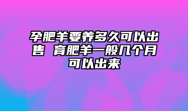 孕肥羊要养多久可以出售 育肥羊一般几个月可以出来