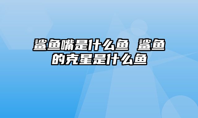 鲨鱼嘴是什么鱼 鲨鱼的克星是什么鱼