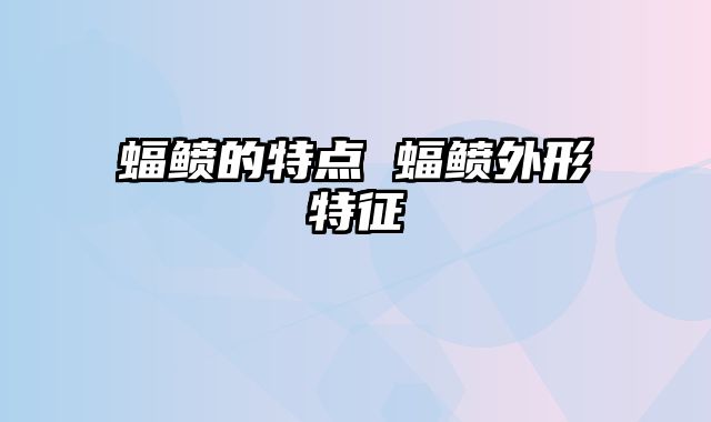 蝠鲼的特点 蝠鲼外形特征