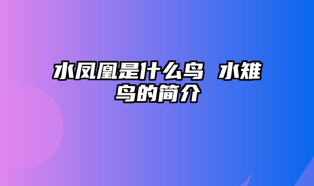 水凤凰是什么鸟 水雉鸟的简介