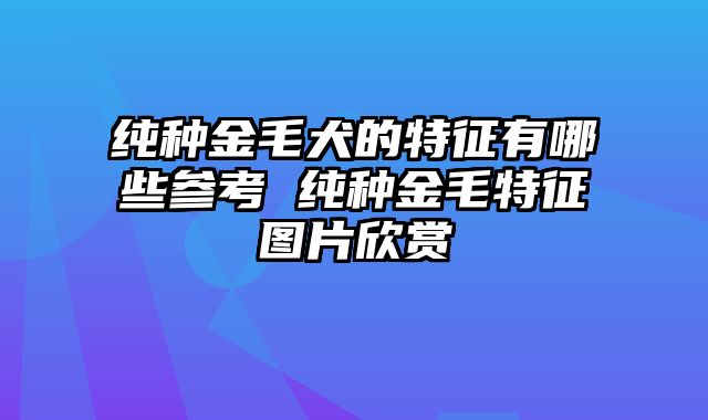 纯种金毛犬的特征有哪些参考 纯种金毛特征图片欣赏
