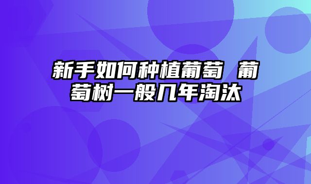 新手如何种植葡萄 葡萄树一般几年淘汰