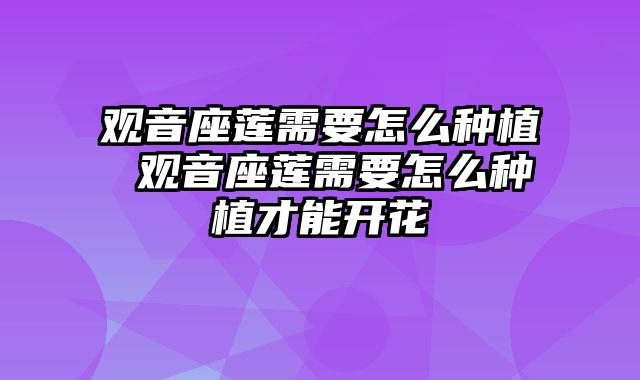 观音座莲需要怎么种植 观音座莲需要怎么种植才能开花