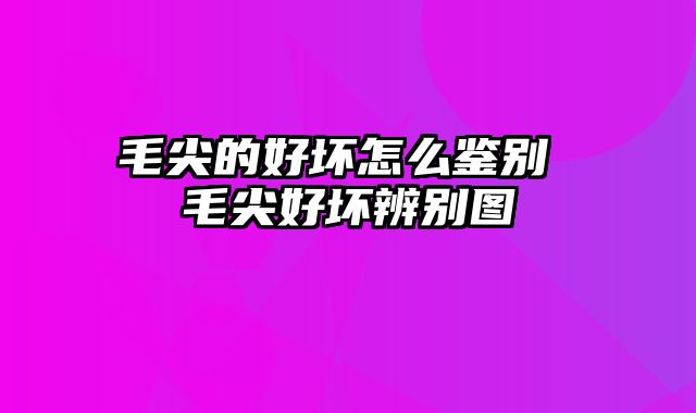 毛尖的好坏怎么鉴别 毛尖好坏辨别图
