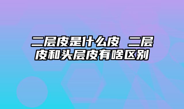 二层皮是什么皮 二层皮和头层皮有啥区别