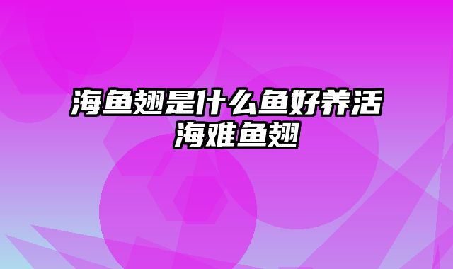 海鱼翅是什么鱼好养活 海难鱼翅