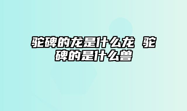 驼碑的龙是什么龙 驼碑的是什么兽
