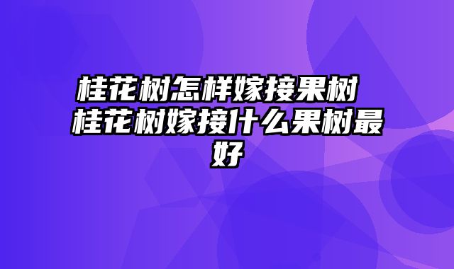 桂花树怎样嫁接果树 桂花树嫁接什么果树最好