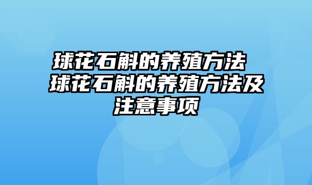 球花石斛的养殖方法 球花石斛的养殖方法及注意事项