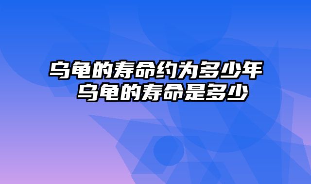 乌龟的寿命约为多少年 乌龟的寿命是多少