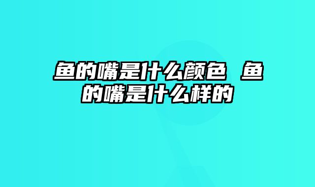 鱼的嘴是什么颜色 鱼的嘴是什么样的