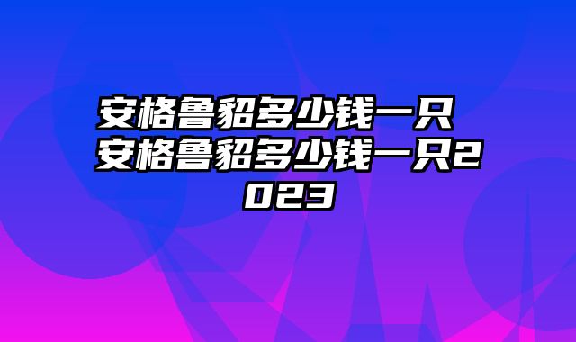 安格鲁貂多少钱一只 安格鲁貂多少钱一只2023