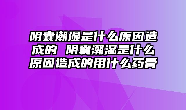 阴囊潮湿是什么原因造成的 阴囊潮湿是什么原因造成的用什么药膏