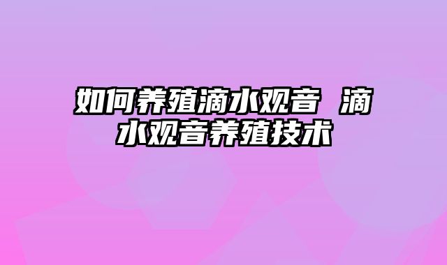 如何养殖滴水观音 滴水观音养殖技术