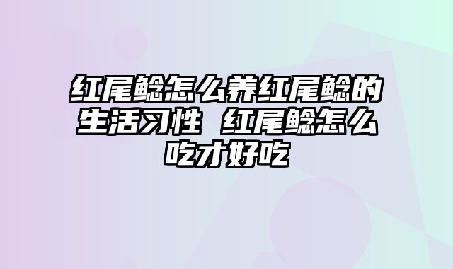 红尾鲶怎么养红尾鲶的生活习性 红尾鲶怎么吃才好吃