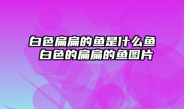 白色扁扁的鱼是什么鱼 白色的扁扁的鱼图片