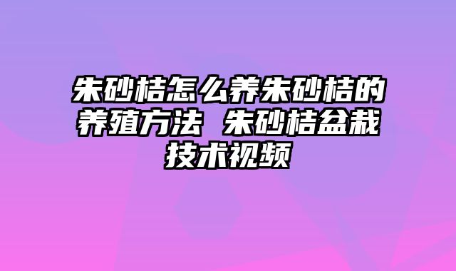 朱砂桔怎么养朱砂桔的养殖方法 朱砂桔盆栽技术视频