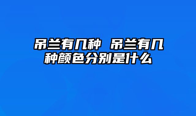 吊兰有几种 吊兰有几种颜色分别是什么