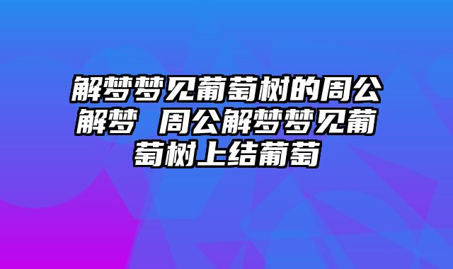 解梦梦见葡萄树的周公解梦 周公解梦梦见葡萄树上结葡萄