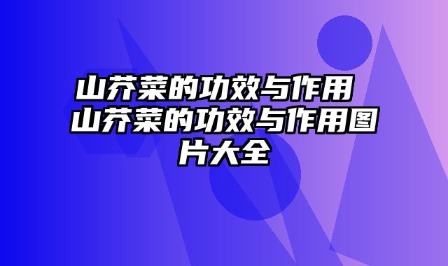 山芥菜的功效与作用 山芥菜的功效与作用图片大全