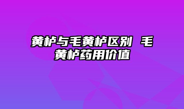黄栌与毛黄栌区别 毛黄栌药用价值