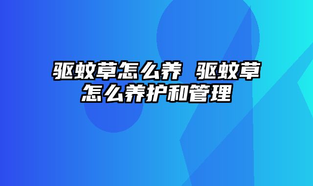 驱蚊草怎么养 驱蚊草怎么养护和管理