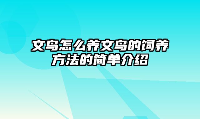 文鸟怎么养文鸟的饲养方法的简单介绍