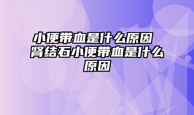 小便带血是什么原因 肾结石小便带血是什么原因