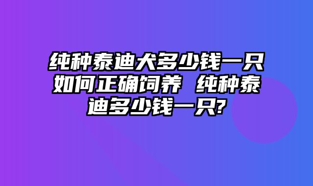 纯种泰迪犬多少钱一只如何正确饲养 纯种泰迪多少钱一只?