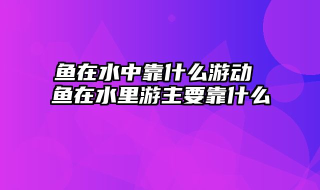 鱼在水中靠什么游动 鱼在水里游主要靠什么