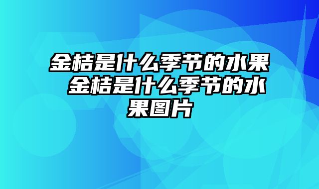 金桔是什么季节的水果 金桔是什么季节的水果图片