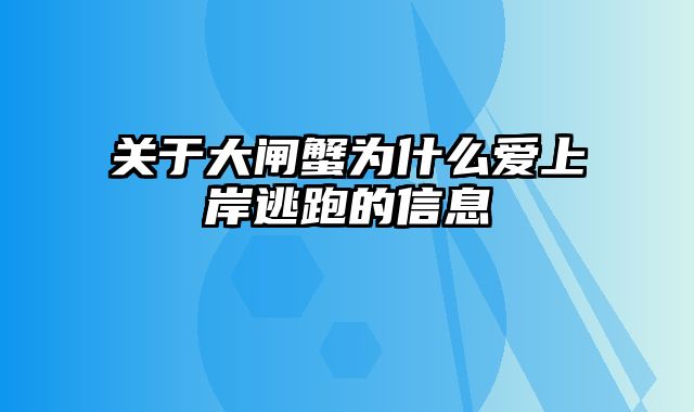 关于大闸蟹为什么爱上岸逃跑的信息
