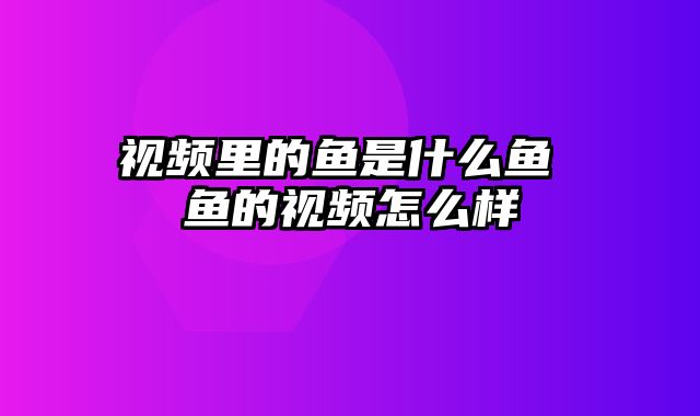 视频里的鱼是什么鱼 鱼的视频怎么样
