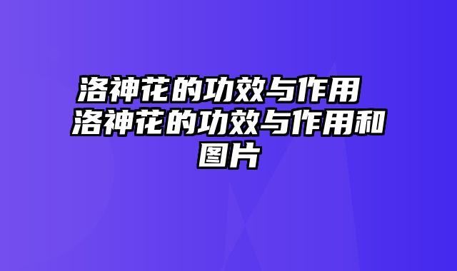洛神花的功效与作用 洛神花的功效与作用和图片