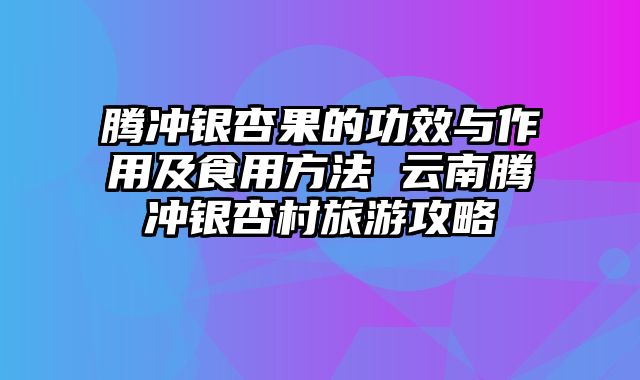腾冲银杏果的功效与作用及食用方法 云南腾冲银杏村旅游攻略