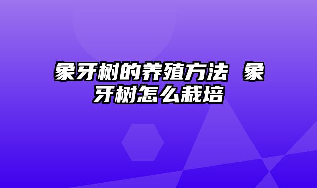 象牙树的养殖方法 象牙树怎么栽培