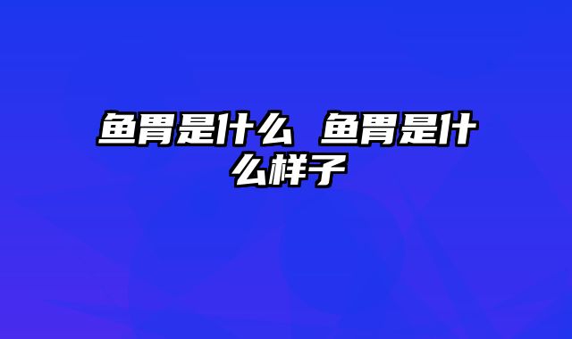 鱼胃是什么 鱼胃是什么样子