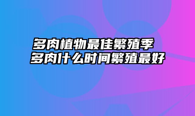 多肉植物最佳繁殖季 多肉什么时间繁殖最好