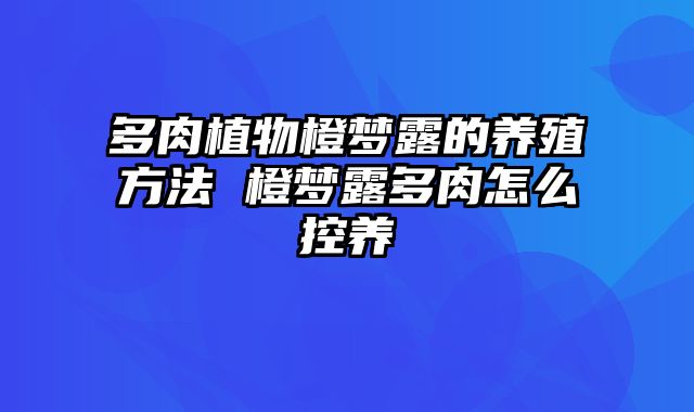 多肉植物橙梦露的养殖方法 橙梦露多肉怎么控养