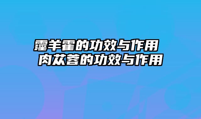 霪羊霍的功效与作用 肉苁蓉的功效与作用