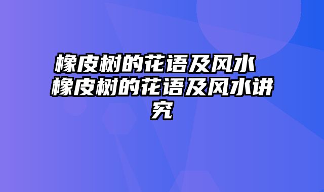 橡皮树的花语及风水 橡皮树的花语及风水讲究