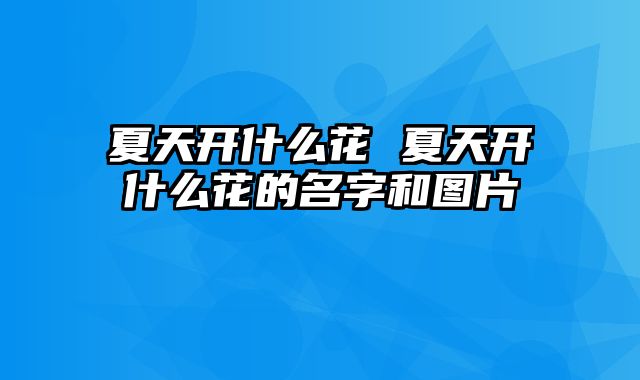 夏天开什么花 夏天开什么花的名字和图片