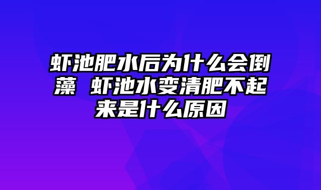 虾池肥水后为什么会倒藻 虾池水变清肥不起来是什么原因