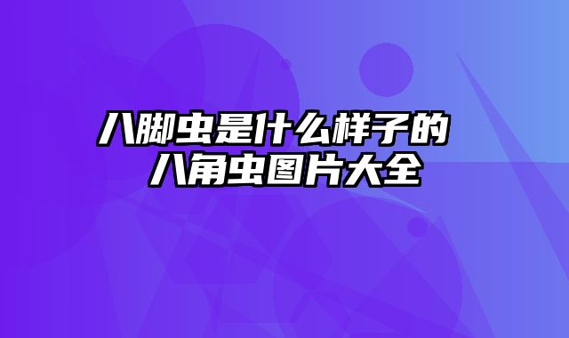 八脚虫是什么样子的 八角虫图片大全
