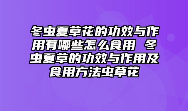 冬虫夏草花的功效与作用有哪些怎么食用 冬虫夏草的功效与作用及食用方法虫草花