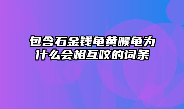 包含石金钱龟黄喉龟为什么会相互咬的词条